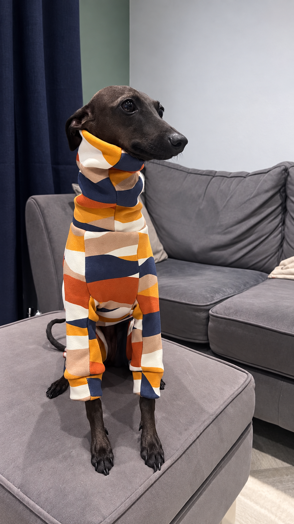 Fleece Lined Sweatshirt Suit - Autumn Trail