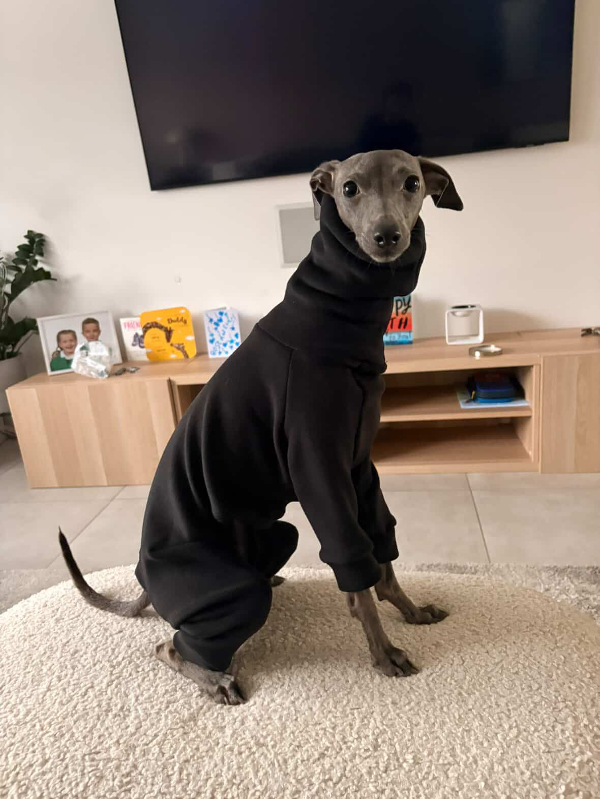 Ultra-Stretch Fleece Suit - Black