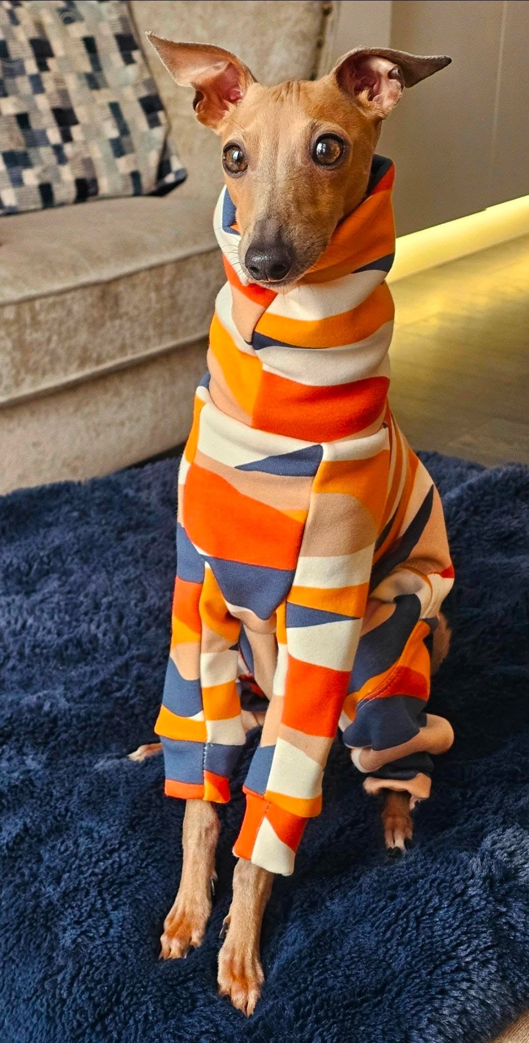 Fleece Lined Sweatshirt Suit - Autumn Trail