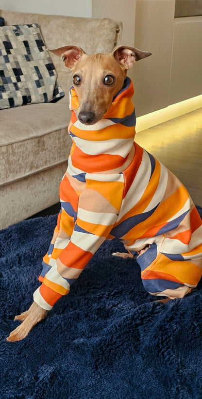 Fleece Lined Sweatshirt Suit - Autumn Trail
