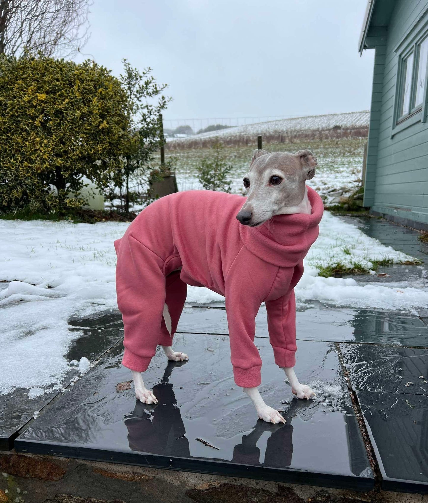 Fleece Lined Sweatshirt - Bubblegum Pink