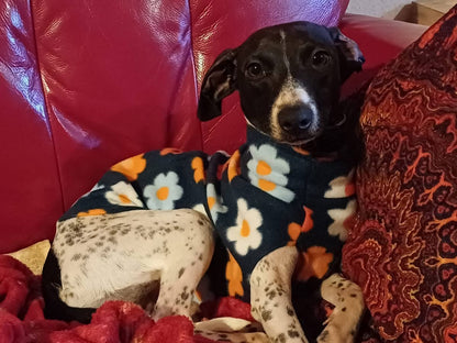 Fleece Vest - Flower Power Daisies
