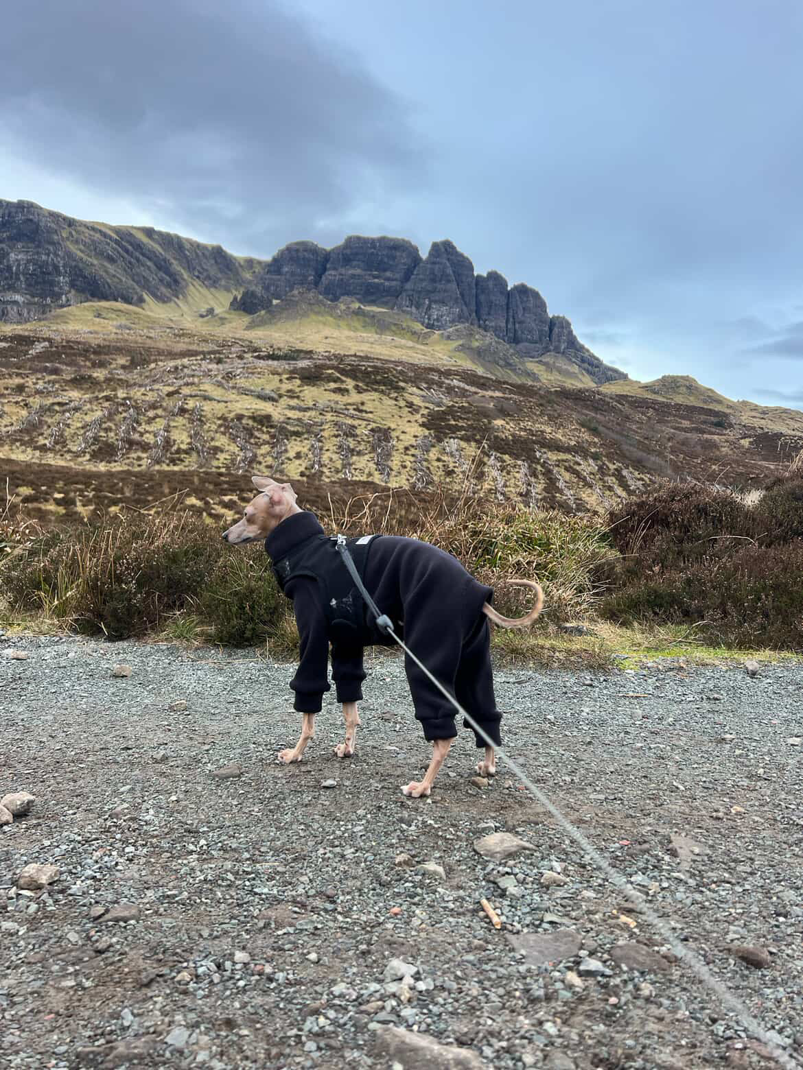 Ultra-Stretch Fleece Suit - Black