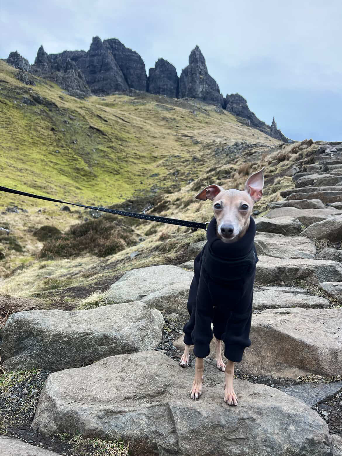 Ultra-Stretch Fleece Suit - Red