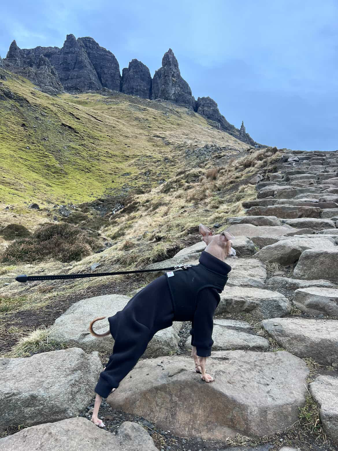 Ultra-Stretch Fleece Suit - Red