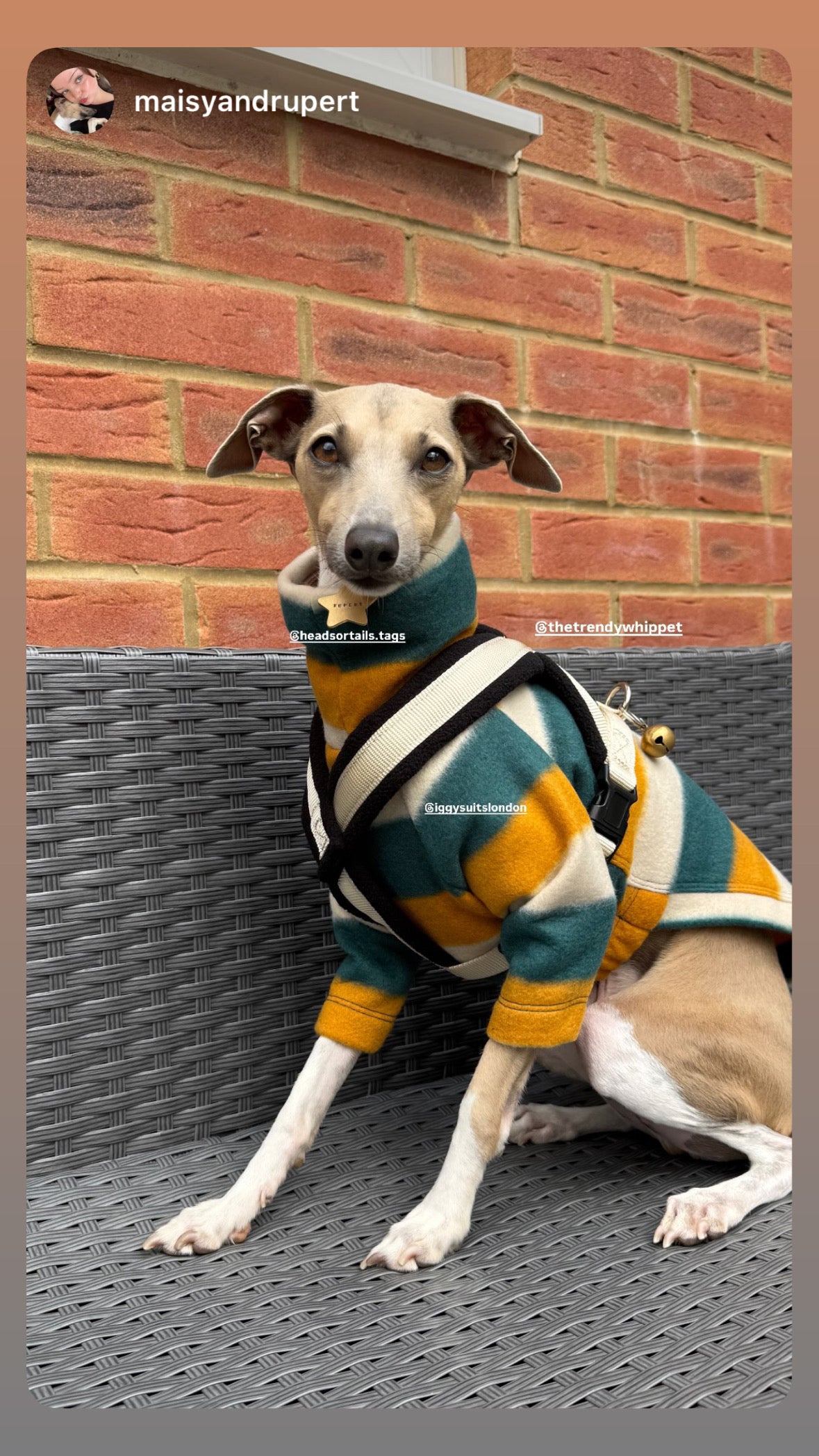 Fleece Jumper - Golden Fern