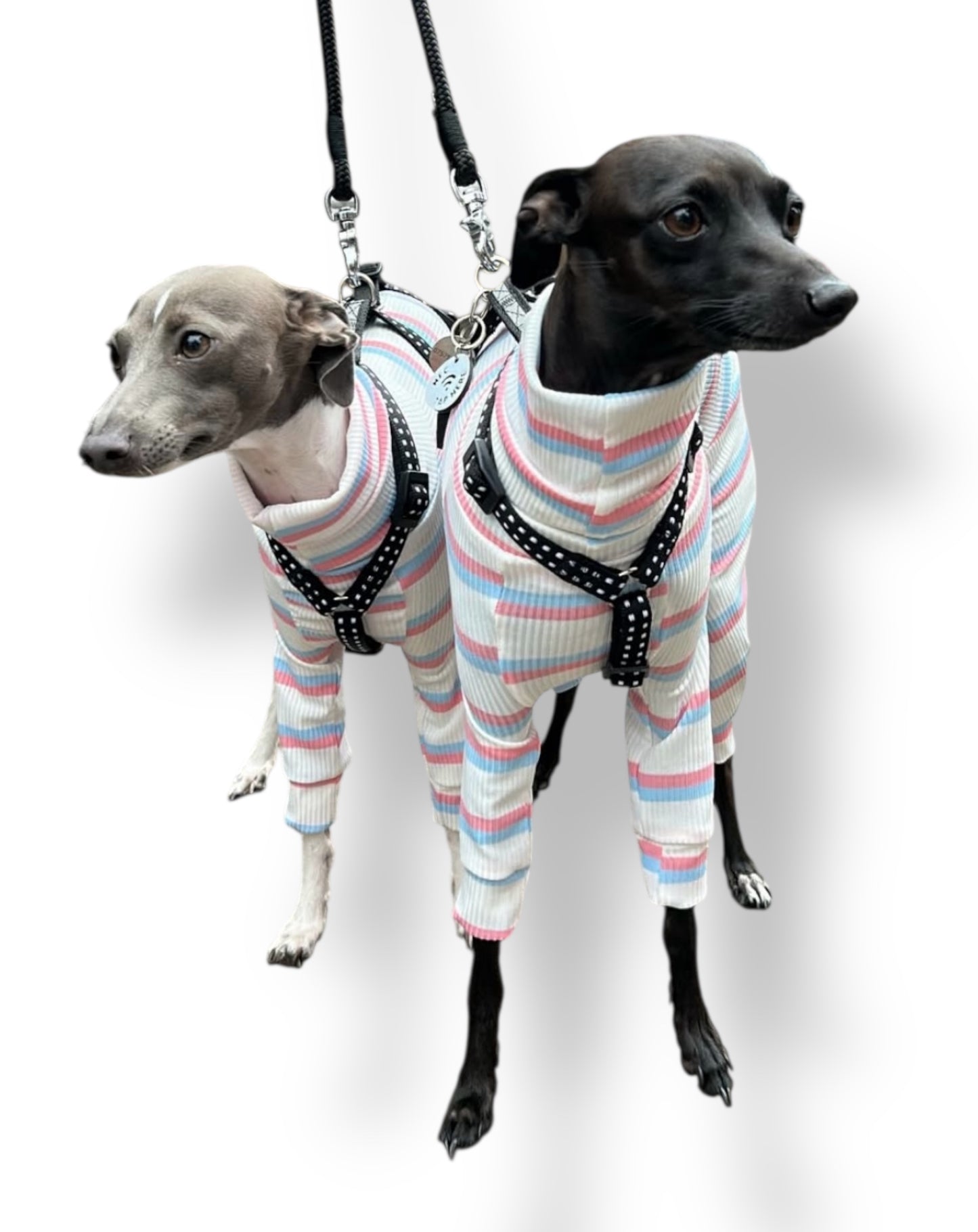 Ribbed Jersey Suit - Pink & Blue Stripe