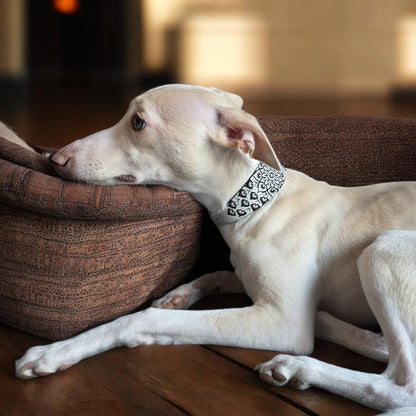 Leather Collar - Mandala