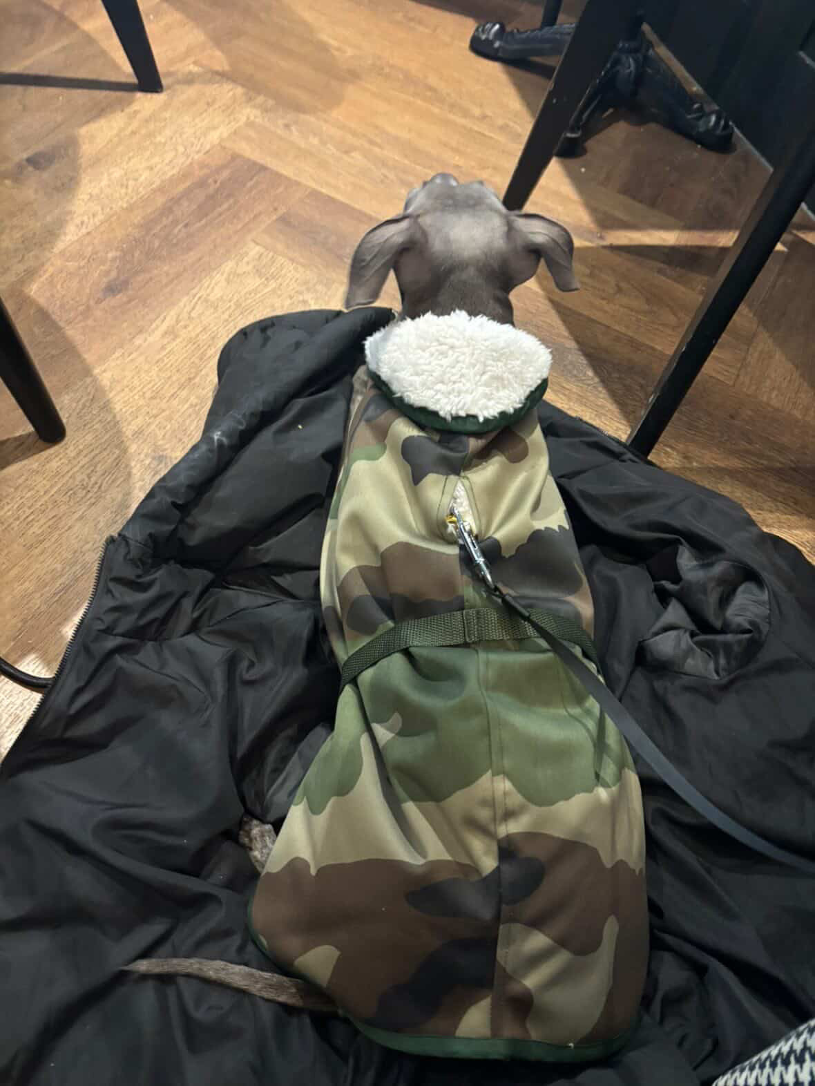 Waterproof Rain Mac - Camouflage