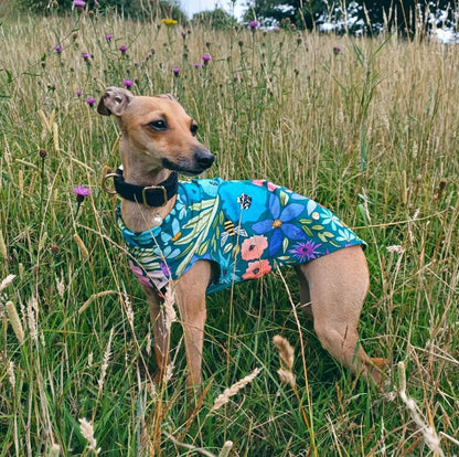 Jersey Puppy Vest - Wednesday Addams