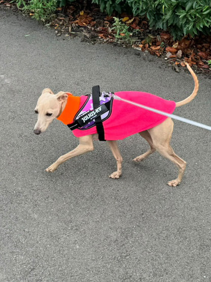 Fleece Vest - Colour Block Puppy Fleece