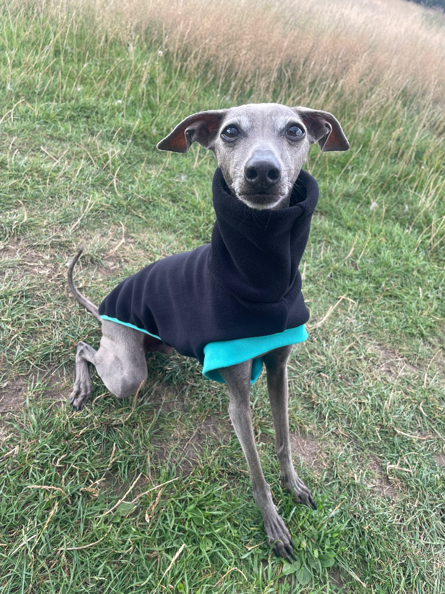 Open-Leg Fleece Vest - Black & Aqua