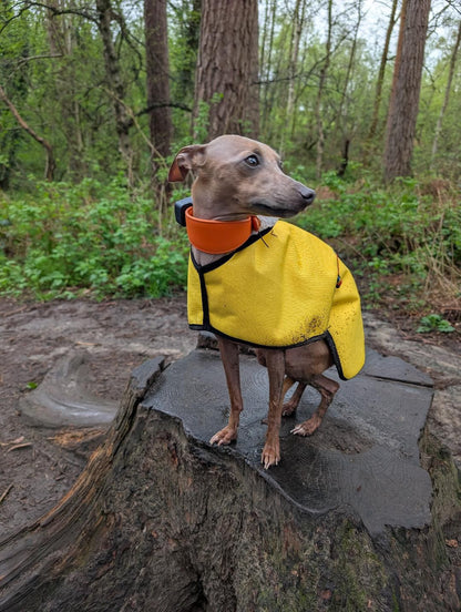 Waterproof Rain Mac - Yellow
