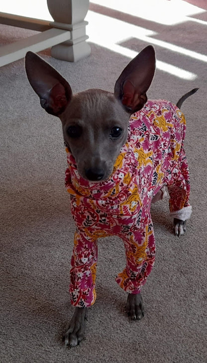 Jersey Suit - Cheeky Monkey