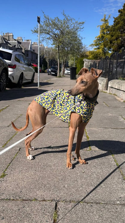 Jersey Vest - Yellow Leopard Print