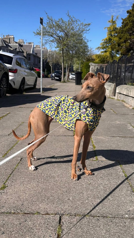 Jersey Vest - Yellow Leopard Print