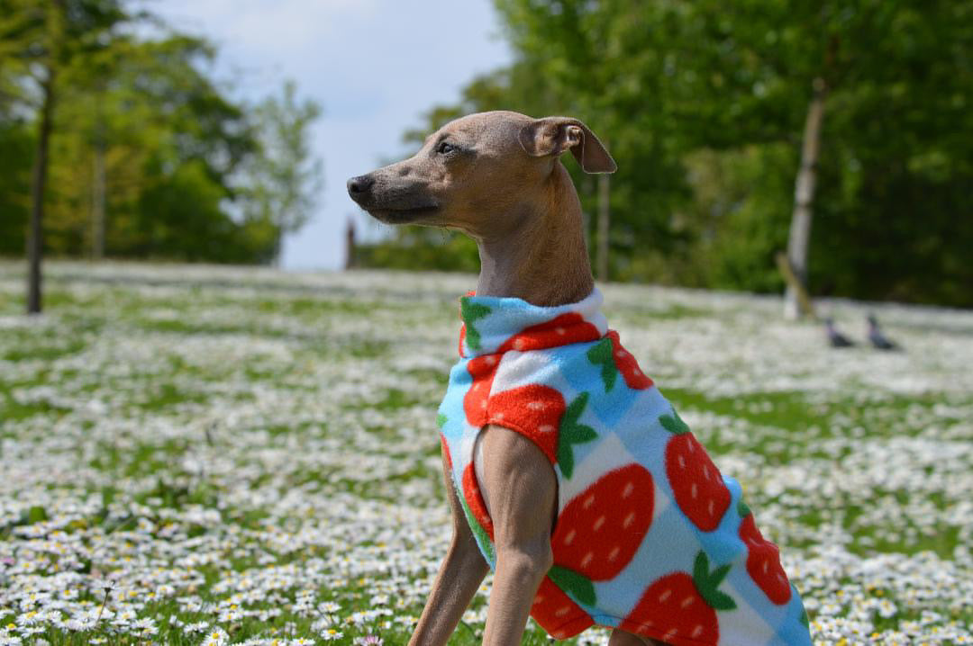 Fleece Vest - Strawberry Picnic