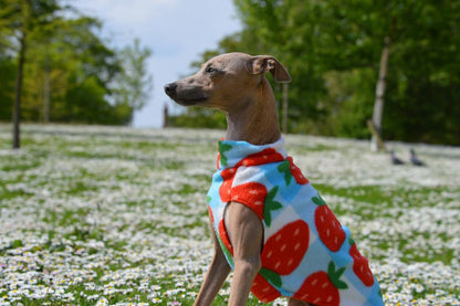 Fleece Vest - Strawberry Picnic