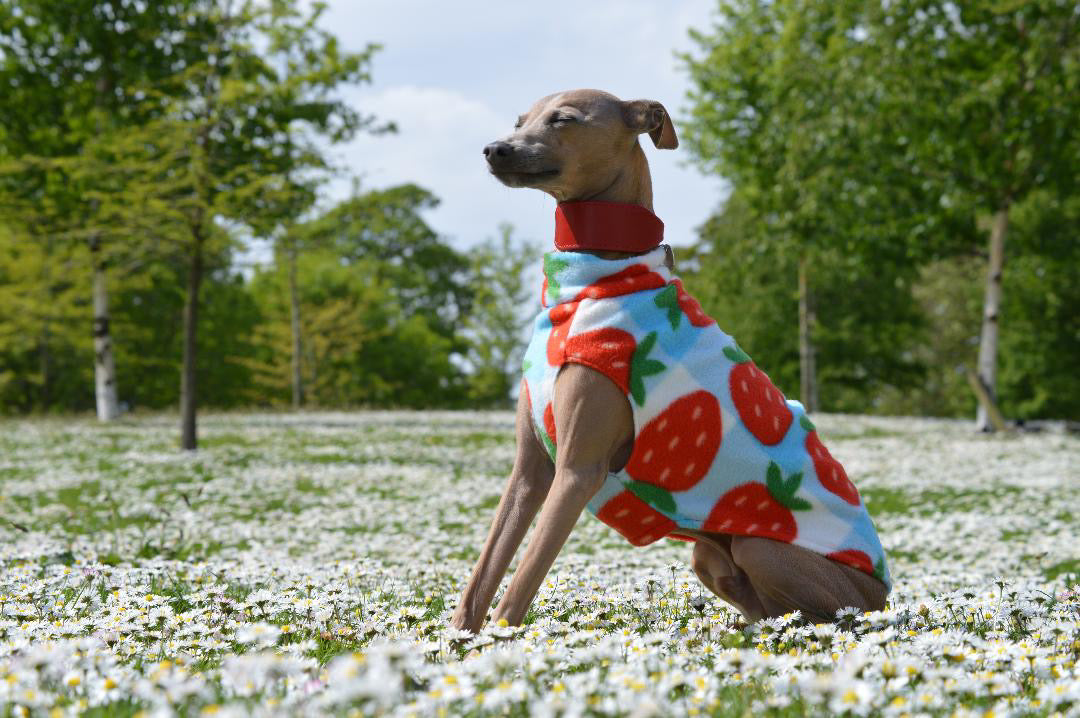 Fleece Vest - Strawberry Picnic