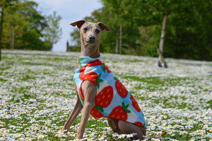 Fleece Vest - Strawberry Picnic