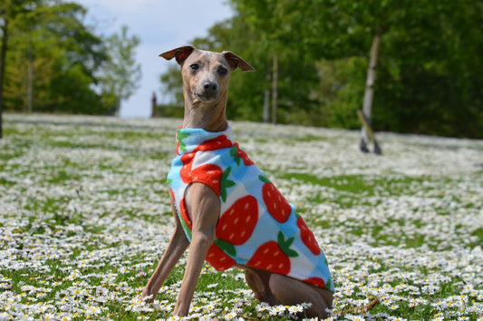 Fleece Vest - Strawberry Picnic