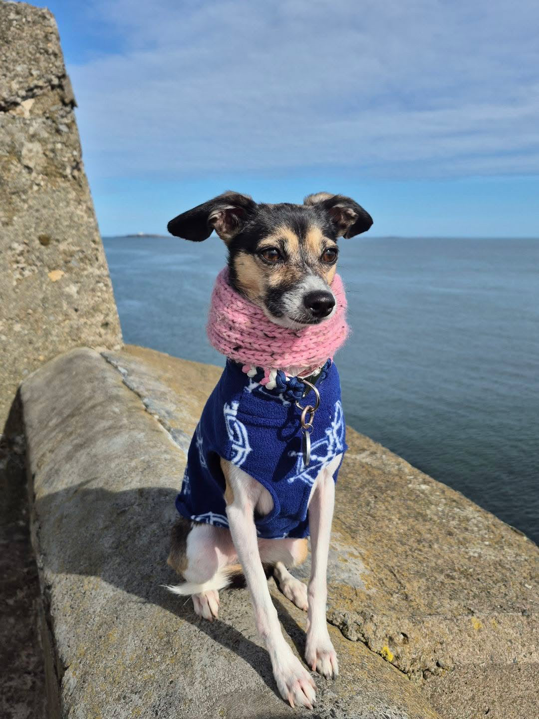 Lightweight Fleece Vest - Anchors Ahoy