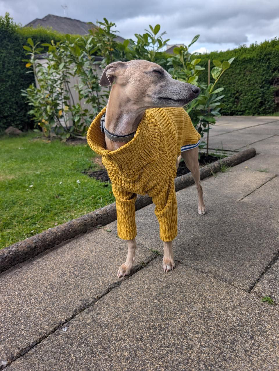 Chunky Knit Jumper - Mustard