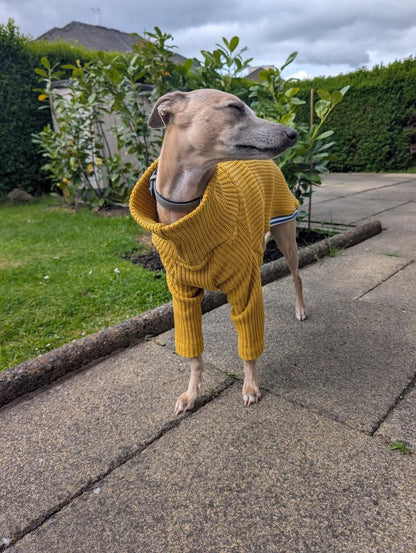 Chunky Knit Jumper - Mustard