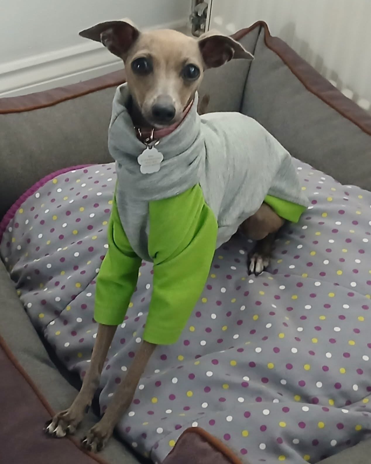 Raglan Sweatshirt - Green