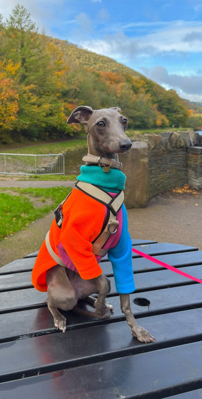 Fleece Jumper - Neon Colour Block