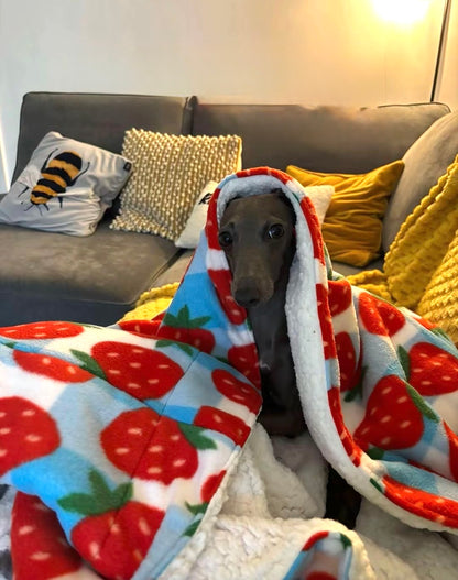 Snuggle Sack - Happy Funghi