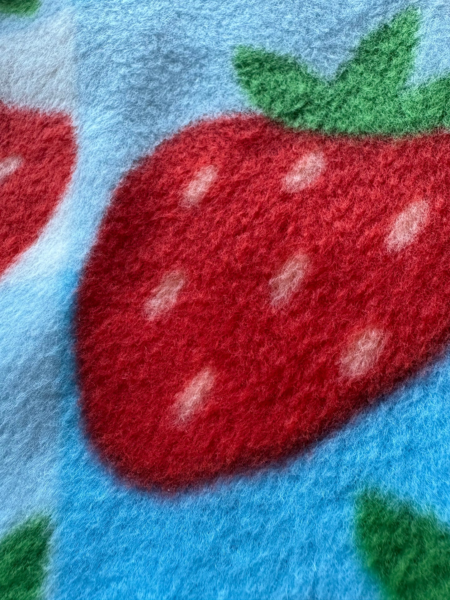 Fleece Vest - Strawberry Picnic