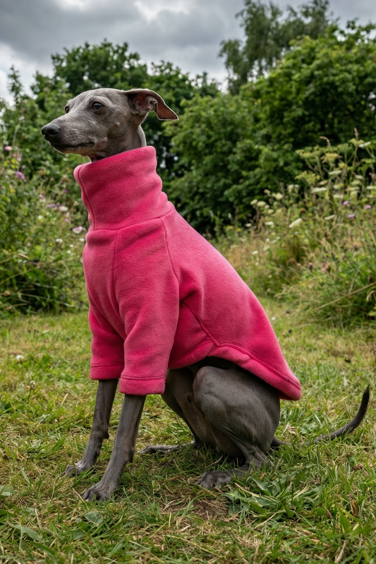 Italian greyhound whippet small sighthound clothing clothes jumper coat rain mac waterproof coat warm spring lightweight jersey cotton UK british London Iggy Wiggy Xolo