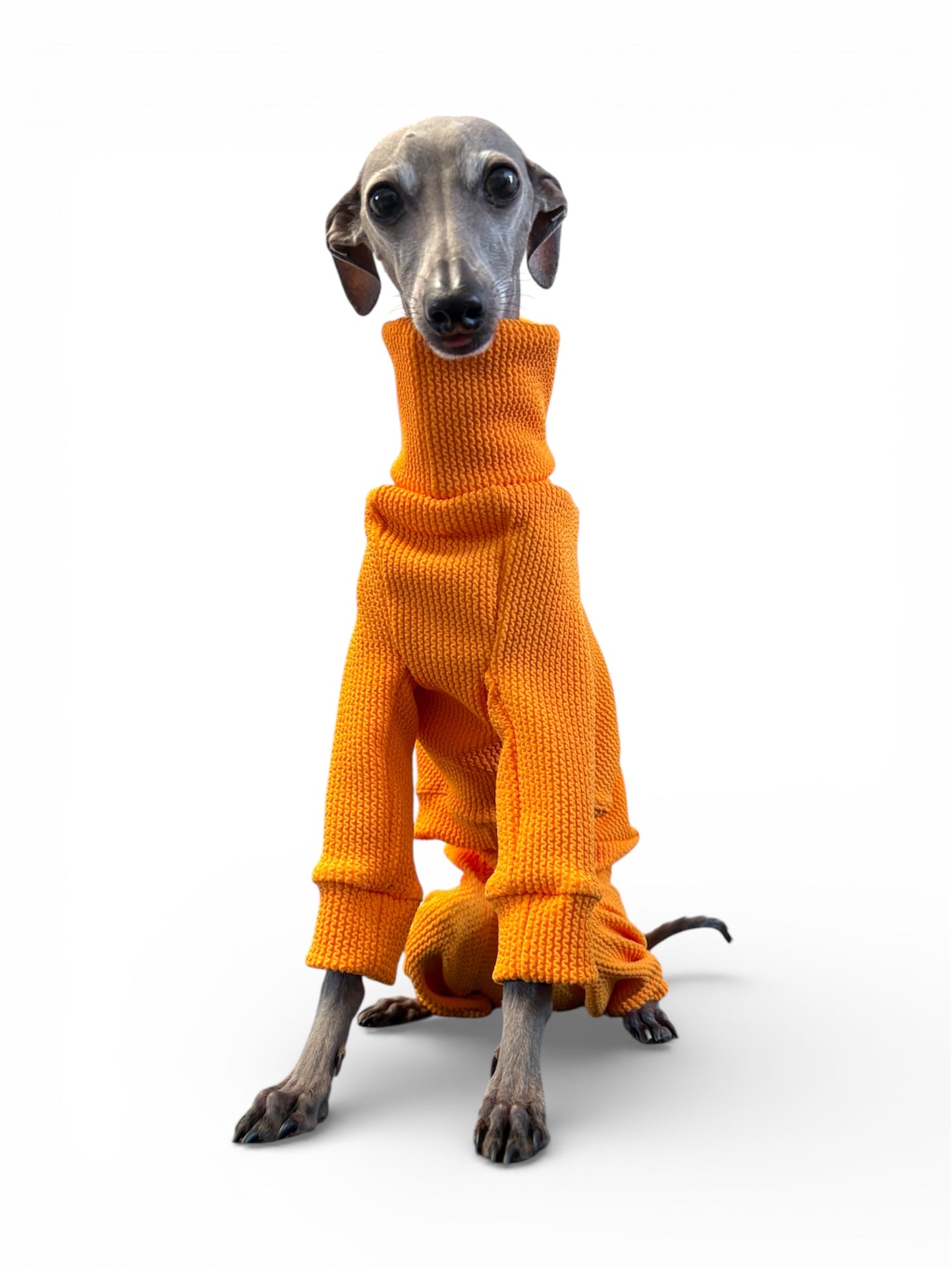 Ribbed Jersey Suit - Marigold Yellow