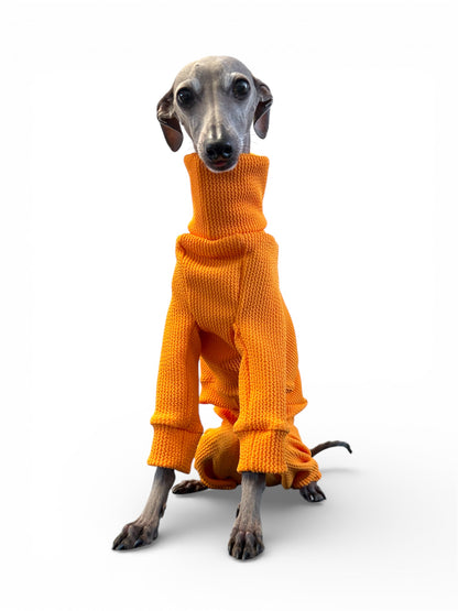 Ribbed Jersey Suit - Marigold Yellow