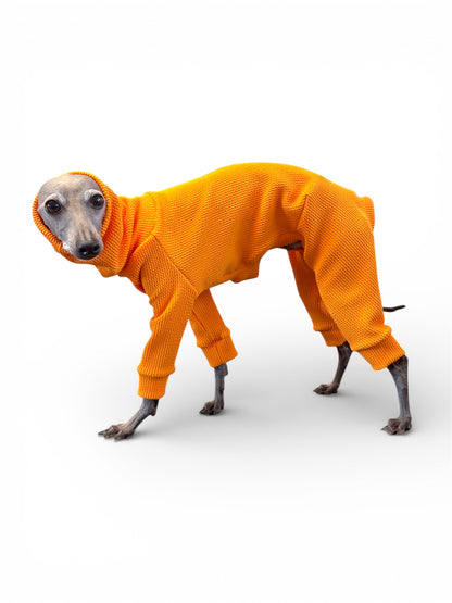 Ribbed Jersey Suit - Marigold Yellow