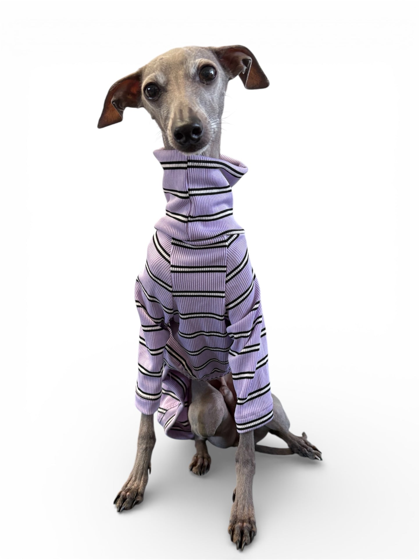 Ribbed Jersey T-Shirt - Lilac Stripe
