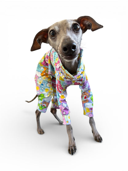 Jersey Suit - Care Bears