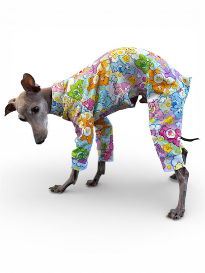 Jersey Suit - Care Bears