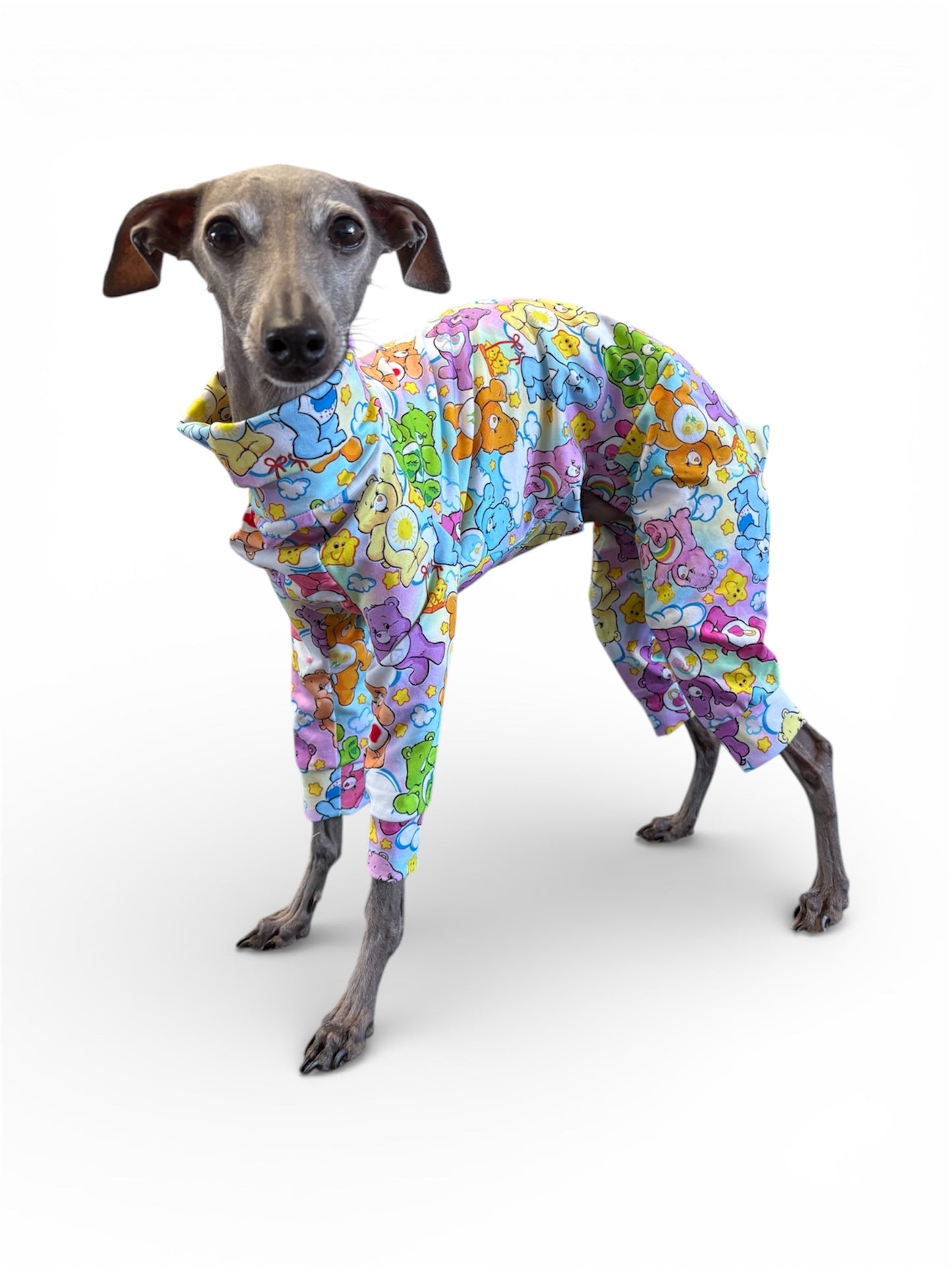 Jersey Suit - Care Bears