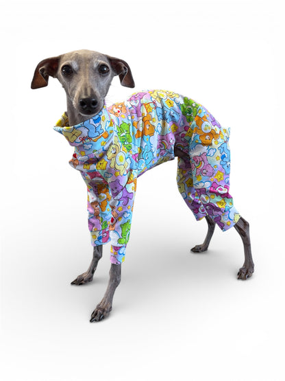 Jersey Suit - Care Bears