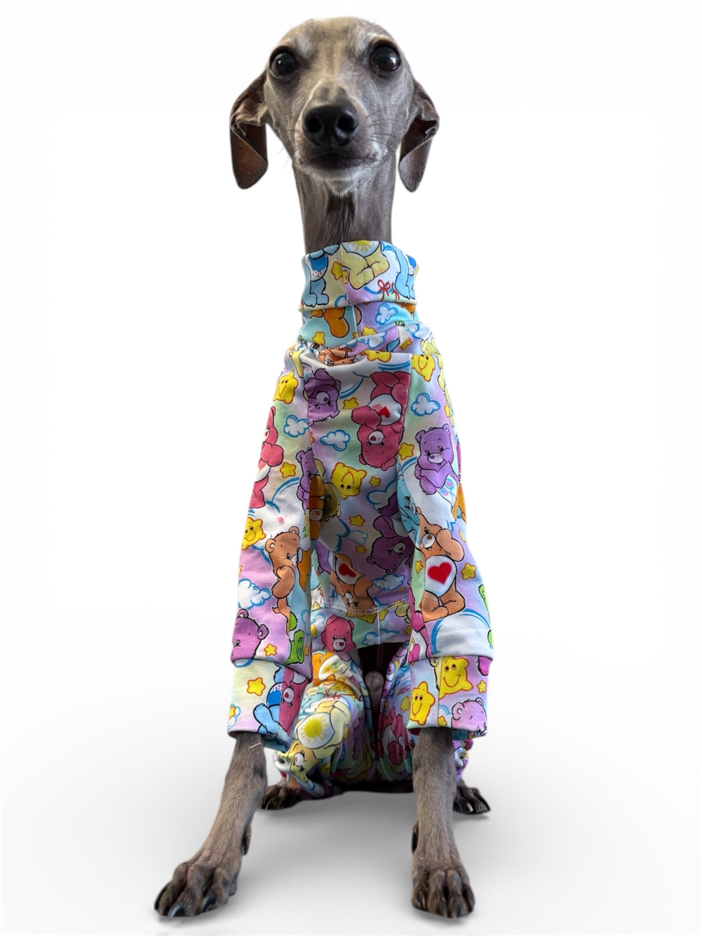 Jersey Suit - Care Bears