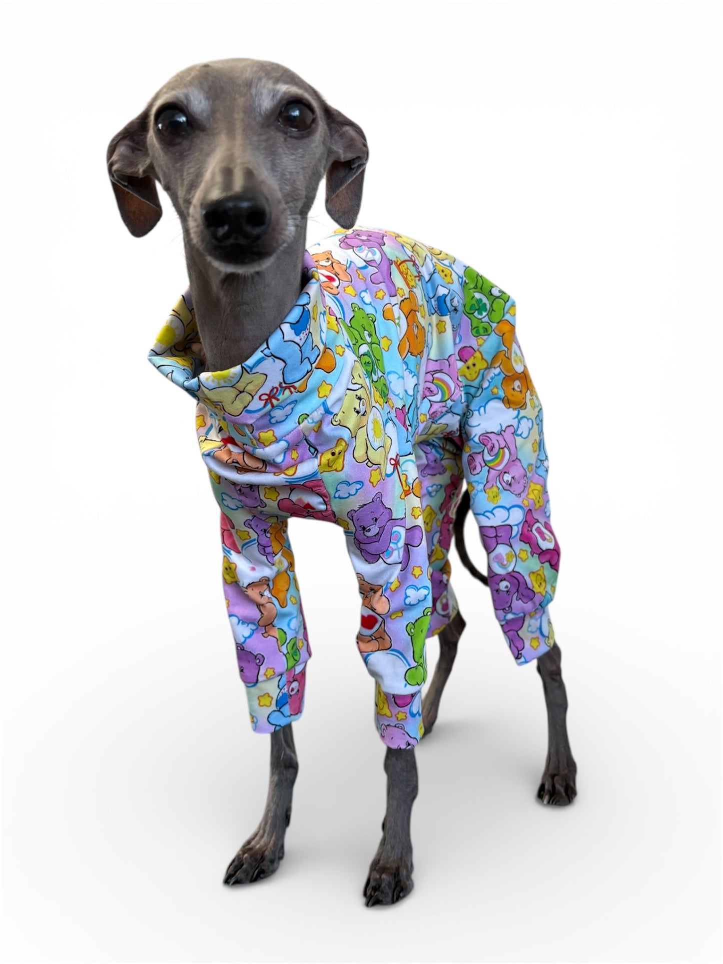 Jersey Suit - Care Bears