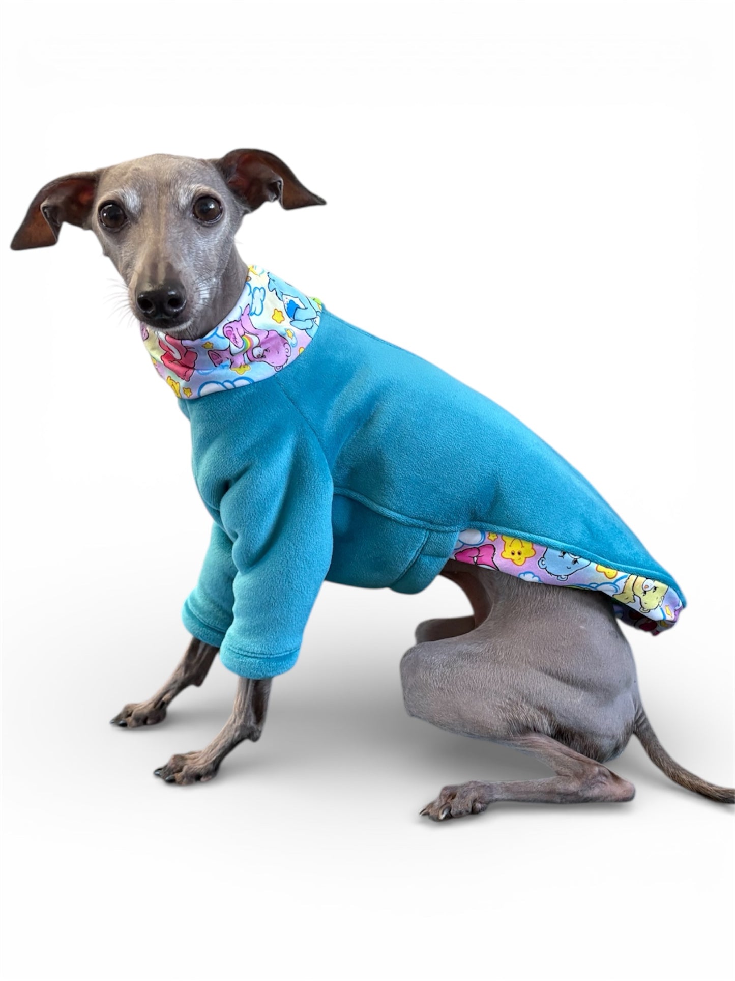 Sherpa Lined Fleece Jumper - Care Bear Blue