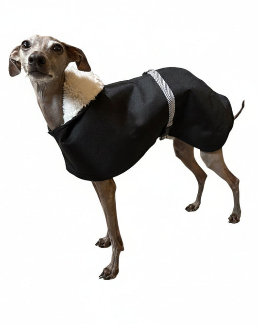 Italian Greyhound rain coat, Whippet waterproof coat, Xolo dog rain jacket, sighthound waterproof coat, dog rain mac, waterproof dog coat UK, Italian Greyhound waterproof jacket, Whippet rain mac, Xolo rain coat, sighthound dog coat.