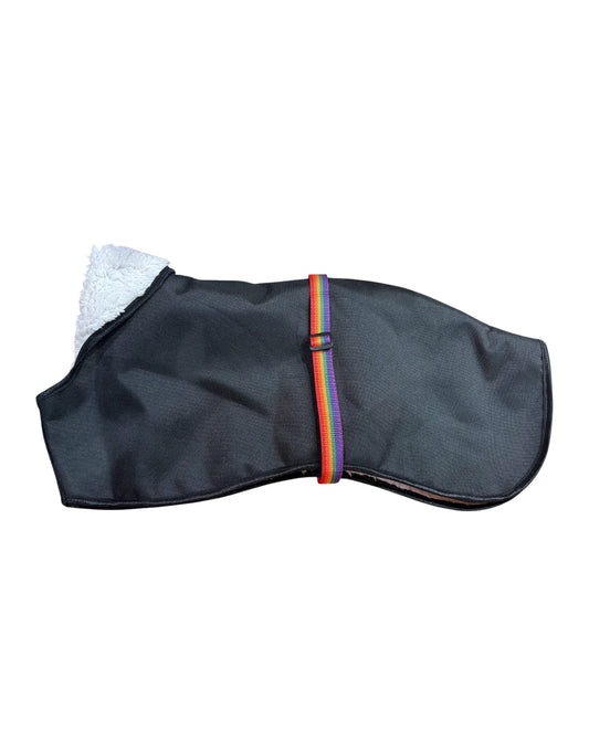 Italian Greyhound rain coat, Whippet waterproof coat, Xolo dog rain jacket, sighthound waterproof coat, dog rain mac, waterproof dog coat UK, Italian Greyhound waterproof jacket, Whippet rain mac, Xolo rain coat, sighthound dog coat.