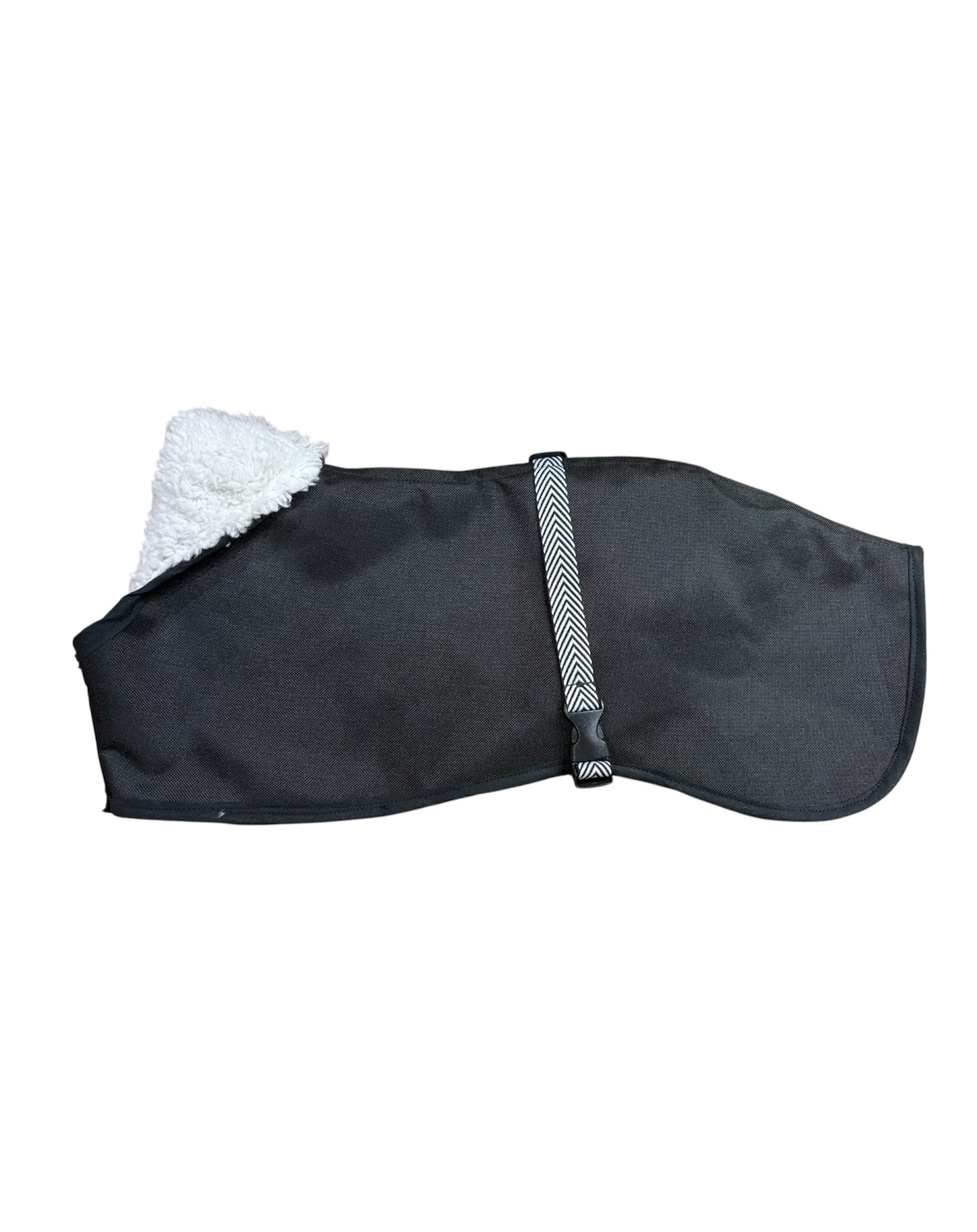 Italian Greyhound rain coat, Whippet waterproof coat, Xolo dog rain jacket, sighthound waterproof coat, dog rain mac, waterproof dog coat UK, Italian Greyhound waterproof jacket, Whippet rain mac, Xolo rain coat, sighthound dog coat.