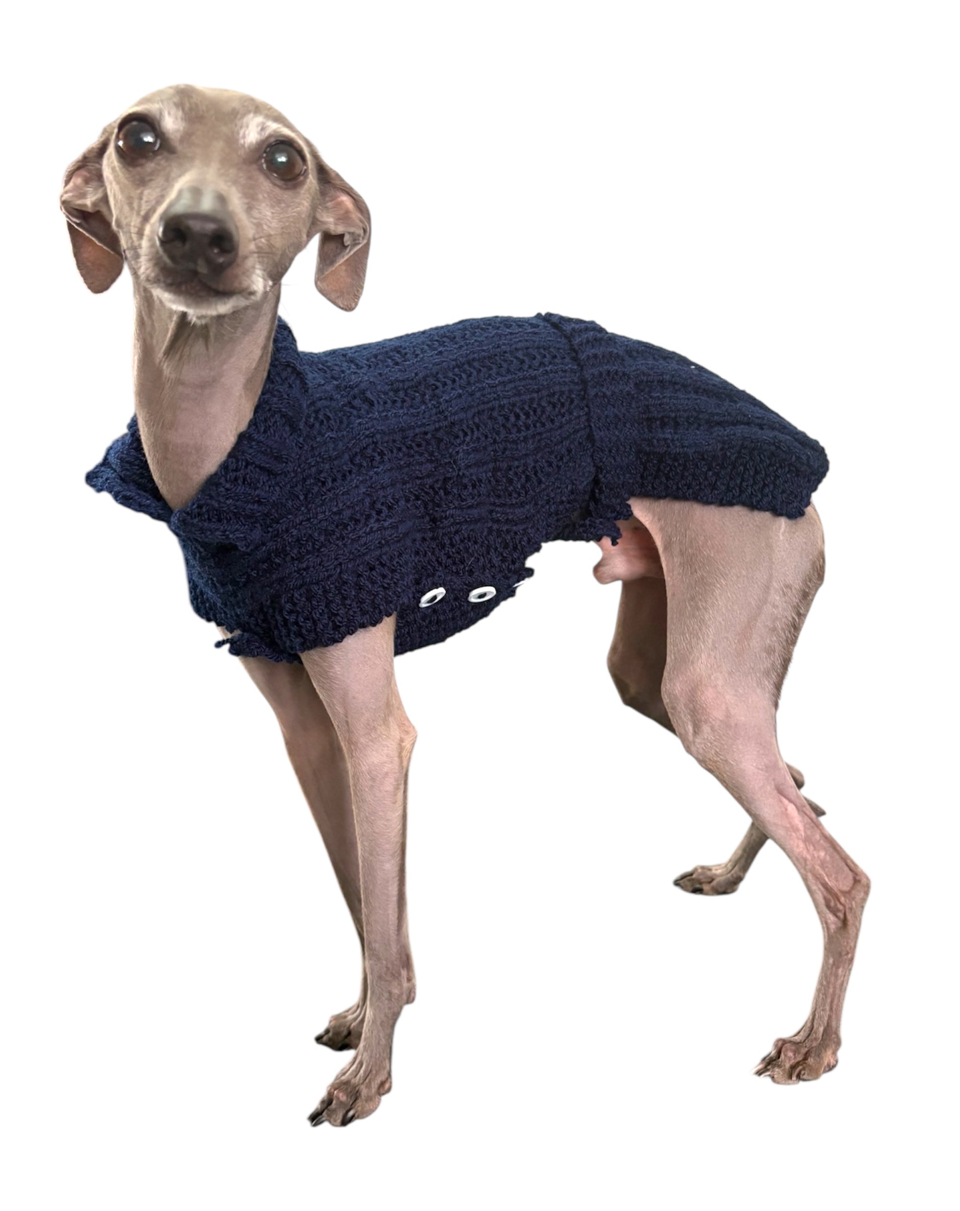 Italian Greyhound, Whippet, and hairless dog clothing including fitted dog sweaters, warm winter coats, fleece pajamas, and lightweight sighthound apparel designed for slim bodies and cold weather comfort.
