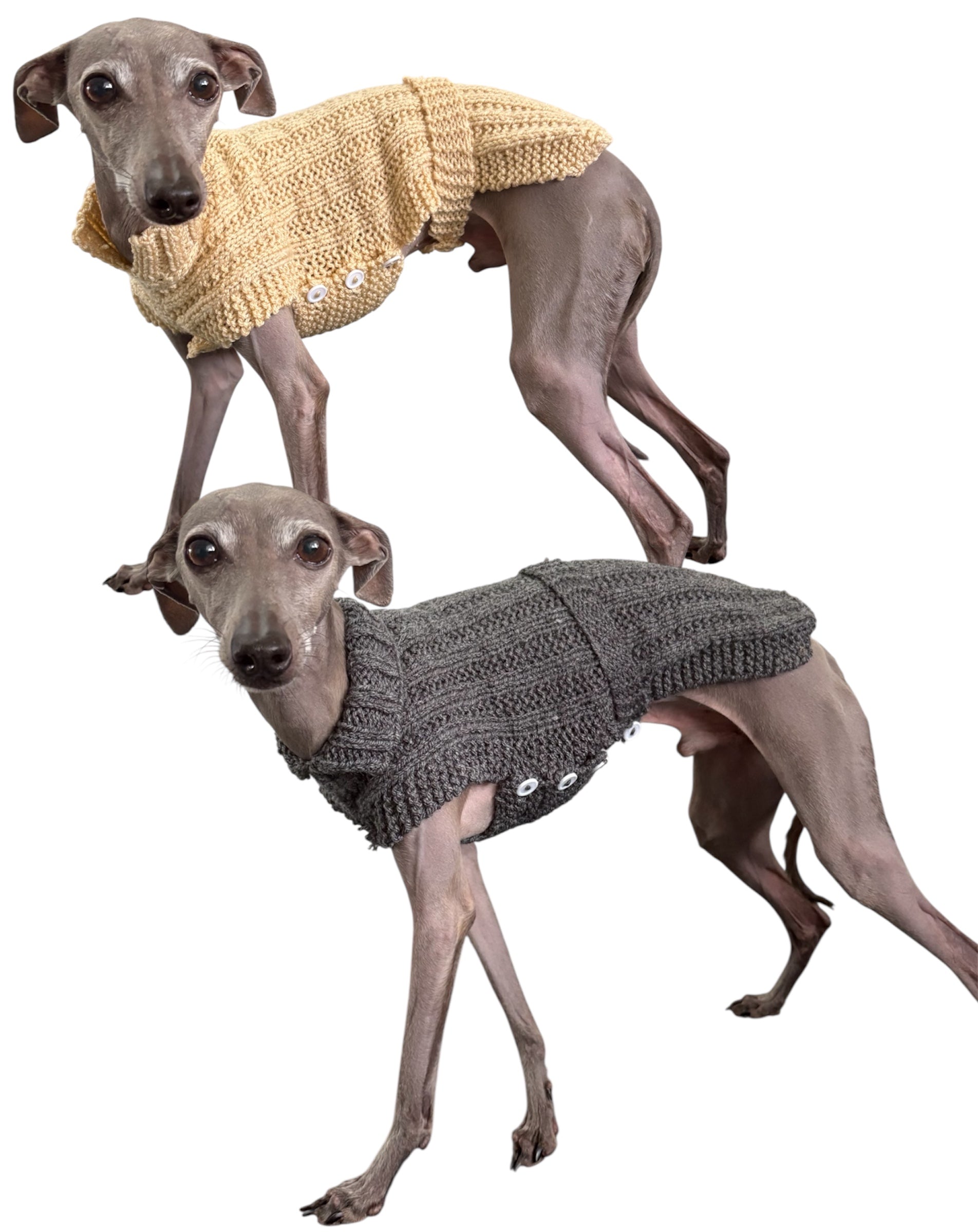 Italian Greyhound, Whippet, and hairless dog clothing including warm fleece sweaters, fitted coats, pajamas, and stylish sighthound apparel designed for slim bodies and sensitive skin.
