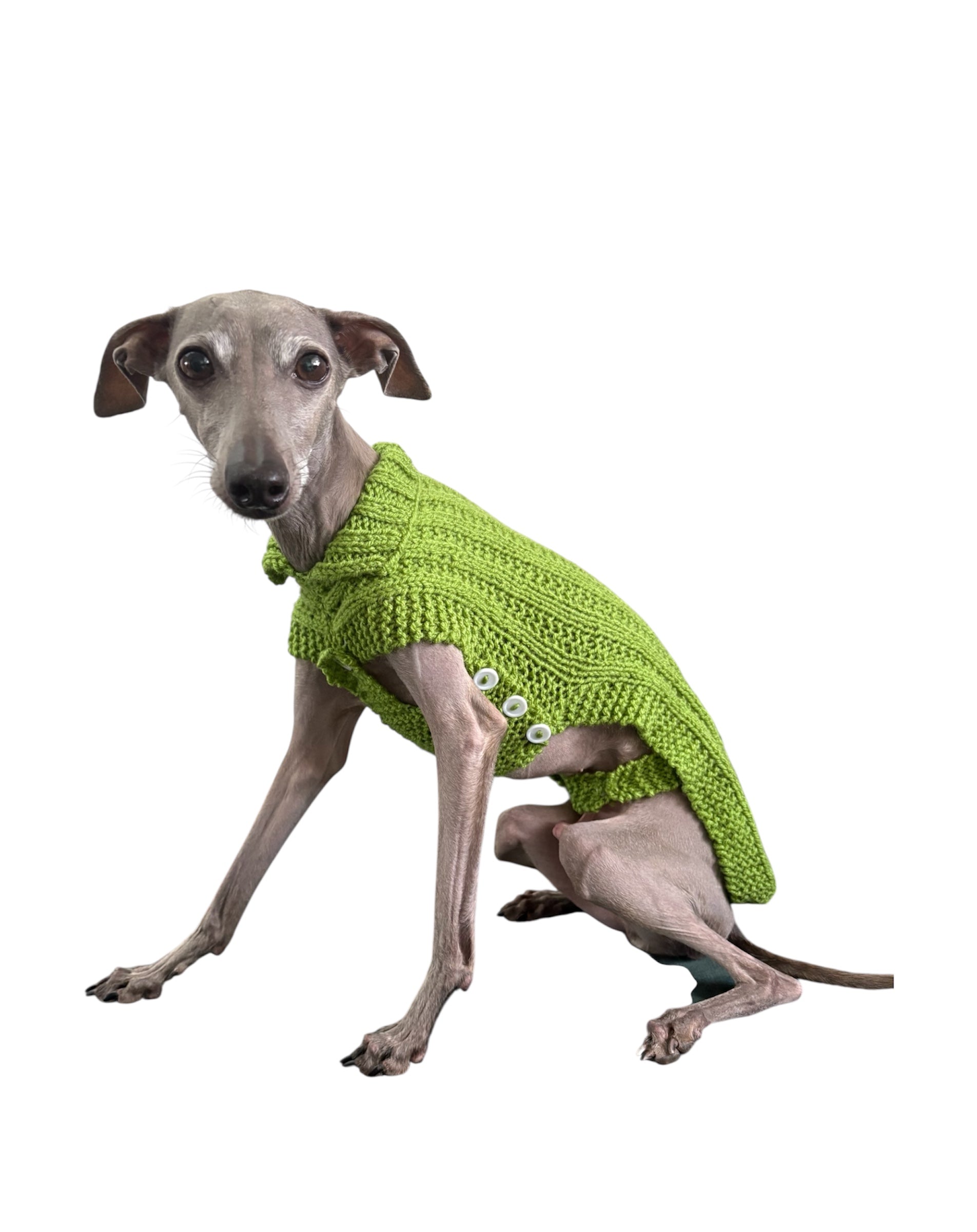Italian Greyhound, Whippet, and hairless dog clothing including warm fleece sweaters, fitted coats, pajamas, and stylish sighthound apparel designed for slim bodies and sensitive skin.
